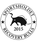 Recovery Bulls logo